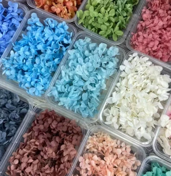 Flower Shopkeeper Grade A Preserved Flowers DIY Materials Small Leaf Anna Hydrangea Handmade Violent Bear Kobe Photo Frame