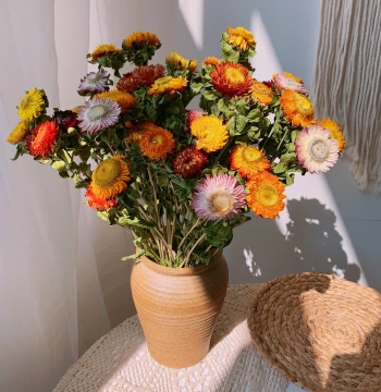 Yunnan Dried Real Flowers: Strawflower and Colorful Daisy Bouquets for Photography Props, Living Room Home Decor Ornaments