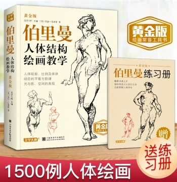 Aesthetic Master Gold Edition Bridgman Human Structure Painting Teaching Figure Sketching Introductory Hand-Drawn Basics Copybook Tracing Book Construction Anatomy Textbook Human Figure Sketching Books Principles and Tutorial Sketch Quick Drawing Art Stud