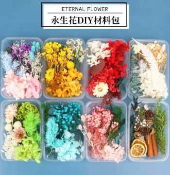 Natural Dried Flowers Preserved Flowers Artificial Flowers Simulation Flowers Children Handmade DIY Round Fan Material Kit Mother's Day Gift
