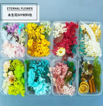 Natural Dried Flowers Preserved Flowers Artificial Flowers Simulation Flower Round Fan Collage Material Kit, Dried Flower Greeting Card Photo Frame Handmade DIY