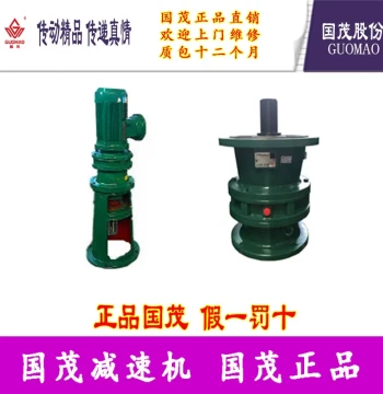Guomao Guotai Gear Group Cycloidal Pinwheel Reducer Guomao Guotai XLED74-595-0.75