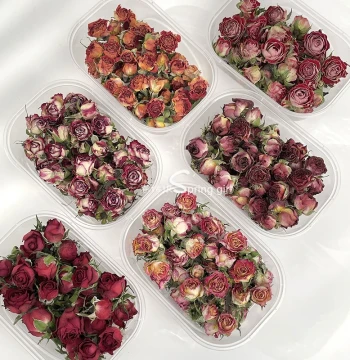Dried Multi-Head Rose Buds Bouquet Direct from Yunnan DIY Decoration Rose Bubble Mini Roses Photo Prop