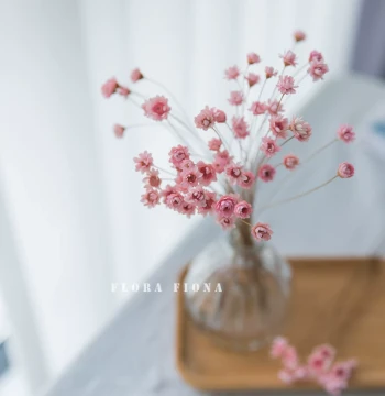 Brazilian Natural Air-Dried Mini Daisy Fresh Dried Flower Bouquet Matching Flower Arrangement Decoration Desktop Ornament Small Star Flower