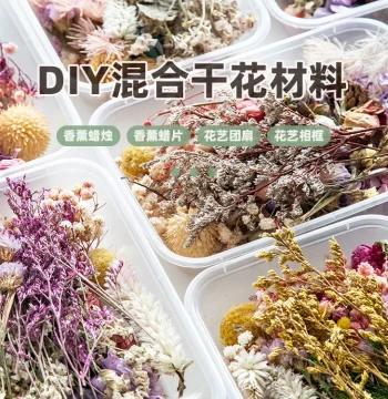 Manyue DIY Boxed Natural Dried Flowers Real Flowers Preserved Flower Art Round Fan Frame Aromatherapy Candle Wax Slice Handmade Materials