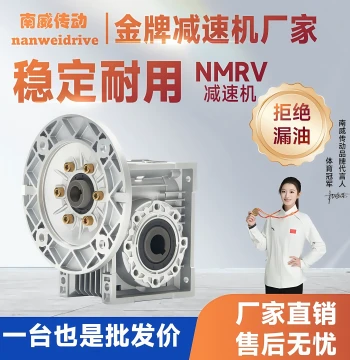 NMRV40/50/63/75/90/110/130 Worm Gear Reducer Stepper Servo Turbine Reducer