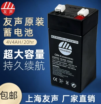 Shanghai Yousheng Electronic Scale Battery 4V/4Ah/20HR, Genuine Yousheng Scale Accessory
