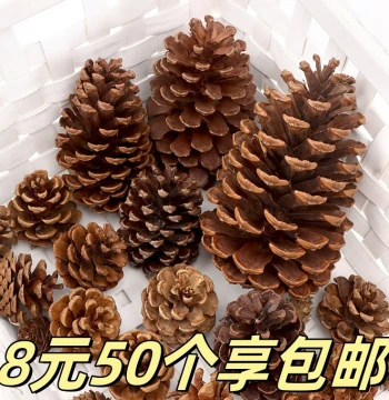 Natural Pinecone DIY Pine Tower Dried Branches Raw Wood Dried Flowers Kindergarten Handmade Environmental Creation Layout Decoration Hanging Ornament Materials