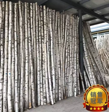 Natural Birch Tree Decorative Trunk Birch Log Raw Wood Dried Flowers Withered Branches Wedding Window Display Partition Landscaping