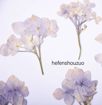 Dried Hydrangea with Branches Natural Color, Real Flower Pressed Flowers for Bouquets, Wax Seal Stamp DIY Materials, Resin Phone Case Supplies