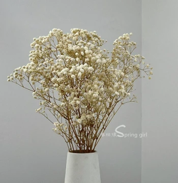 Baby's Breath Preserved Dried Flower Bouquet, Versatile Statice for Living Room Decoration, Real Flowers DIY Materials, Yunnan Fresh-Preserved Flowers