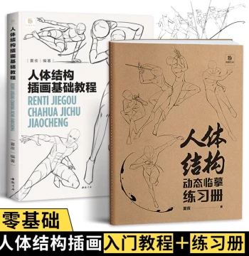 Synchronized Teaching Set: Human Anatomy Basics, Illustration Materials, Tutorial Book & Practice Notebook, Line Art for Learning Figure Sketching, Dynamic Limbs, Form Drawing Techniques, Zero-Based Manga Character Art