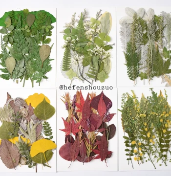 Dried Flower Plant Specimen Kindergarten Handmade Materials Collage Real Leaves DIY Resin Coaster Frame Pressed Flowers 21 Pieces