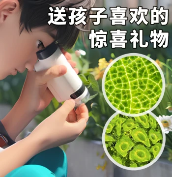 Optical Microscope for Biology, Science Lab for Children on June 1st, Dedicated for Middle and Elementary School Students, Junior High Model, Electronic Desktop Professional Grade, Capable of Viewing Cells, Handheld High Magnification HD, Mobile Phone Por