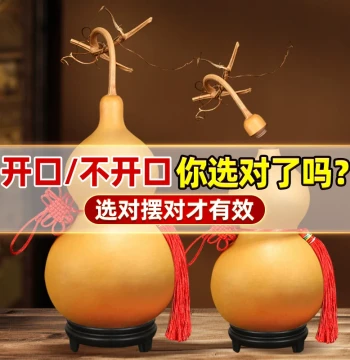 Natural Gourd Ornament with Open Top and Dragon Head Handle for Wealth and Feng Shui, Living Room Entrance Decor with Auspicious Knot