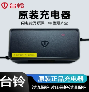 TAILG Electric Vehicle Charger 48V 60V 72V 20 Original Genuine Lead-Acid Battery Graphene Cloud Plug National Standard