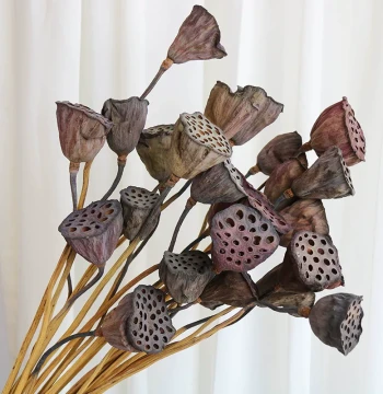 Natural Dried Lotus Pod Flower Bouquet for Living Room Display, Wabi-Sabi New Chinese Zen Style Floral Arrangement