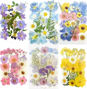 Dried Flower DIY Materials Pressed Flower Bookmarks Resin Casting Spring Letter Frame Materials DIY Handmade Holiday Creative Gifts