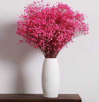 Gypsophila Dried Flowers, Real Air-Dried Natural Blooms for Living Room Decor, Modern Luxury Eternal Flower Bouquet for New Homes