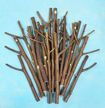 Raw Wood Slices, Small Tree Forks, Dried Branches for Kindergarten DIY Handicrafts, Mori Style Hangings, Low-Structure Materials, Environmental Decoration