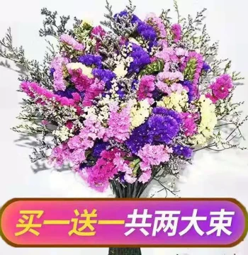 Yunnan Dried Flower Bouquet, Statice and Baby's Breath, Large Bundle of Real Flowers for Living Room Arrangement and Home Decor, Birthday Gift