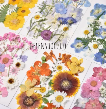 Dried Flower DIY Materials, Pressed Flower Bookmarks, Resin Casting Supplies, Living Room Decor Frame Materials, DIY Craft Holiday Creative Gifts