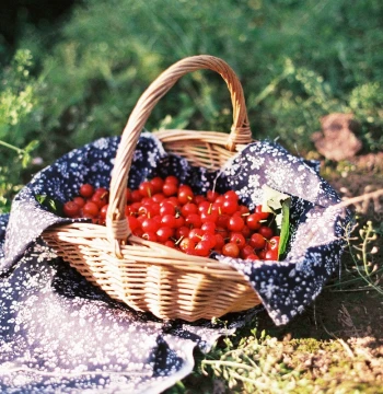 Handheld Basket Rattan Woven Willow Woven Creative Handmade Small Countryside Harvest Home Storage Decorative Basket Picking Basket