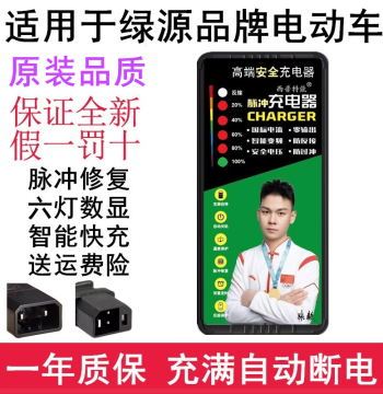 Compatible with Luyuan Electric Vehicle 48V 12AH 60V 20AH 72V Lead-Acid Two-Vertical Original Version Charger Auto Power-Off