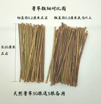 Authentic I Ching Cultural Supplies Genuine King Wen Yarrow Stalks 50 Pieces Plus 5 Free Divination Counters Calculation Tools Numerology