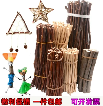 Branch Materials, Pinecone Decoration, Natural Dried Flower Bouquet, Kindergarten Craft DIY Tree Trunk Branches, Creative Raw Wood Painting