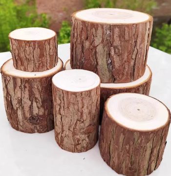 Small Wooden Stump Base Ornament - Natural Fir Tree Trunk Slice for Photography, Gardening, and Home Decor Props