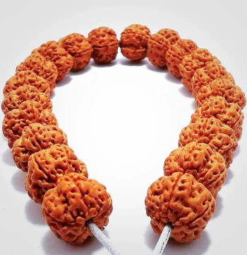Indonesian Small Vajra Bodhi Seeds - Original Flower King Panlong Old Tree King Flat Fine Single Loop Bracelet, 108 Beads for Men and Women