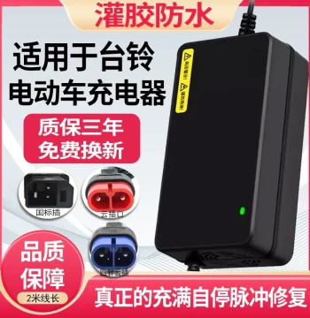 Compatible Tailg Electric Vehicle Charger 48V12AH 60V20AH 72V Four-Pin Cloud Plug Waterproof Graphene Universal