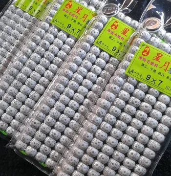 Hainan Star Moon Bodhi 108 Beads Prayer Beads Authentic Original Ecological Apple Round Barrel Bead Collector Grade Premium First Month