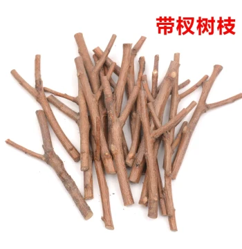 Kindergarten Branch Decoration Small Tree Forks Dried Branches DIY Handmade Mori Style Hanging Ornament Material Ring Creation Layout Decoration