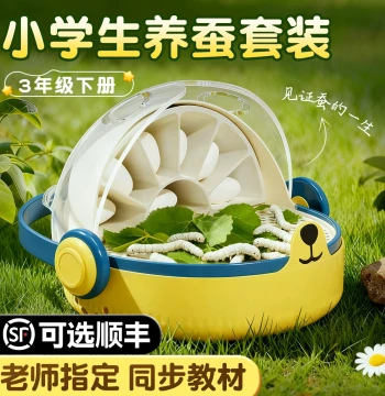 Silkworm Baby Student Raising Set, Space Breeding Chamber, Cultivation and Feeding Box, Colorful Small Silkworm Babies, Fresh Instars 1-4