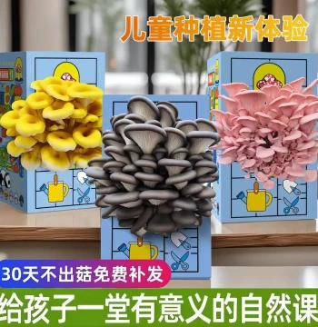 Mushroom Growing Kit, Oyster Mushroom Box for Indoor Home Cultivation, Science Experiment and Educational Toy for Children