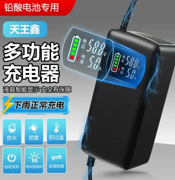 Auto Power-Off E-Bike Battery Charger 48V 12A 60V 20AH 72V Compatible with Yadea, Aima, Tailg Tricycles