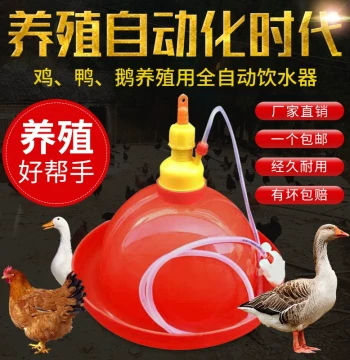 Thickened Plason Automatic Waterer Feeder Water Jug for Ducks Geese Chickens Chicken Farming Equipment Poultry Supplies