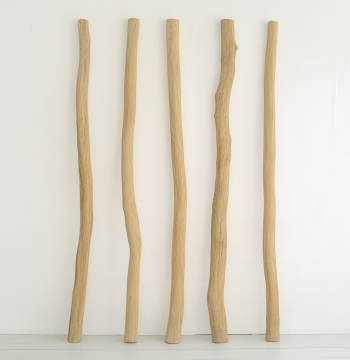 Natural Dried Tree Branches for Clothing Store Hanging Rods, Decorative Wood Sticks, Raw Wood Room Dividers, Trunk Ornaments for Photography