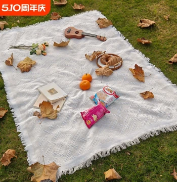 T Picnic Mat Moisture-Proof Pad Outdoor Camping White Blanket Beach Mat Tent Ground Sheet French Style Modern Photo Prop