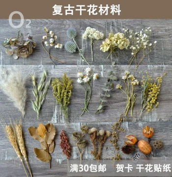 [Vintage Dried Flower Materials] Short Branch Real Plant Specimens in Frames: DIY Floral Craft with Hydrangea & European-Style Leaves