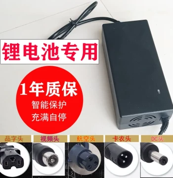 Electric Scooter Xilop Harley Commuter Vehicle Lithium Battery Charger 48V 36V 24V 42V Universal