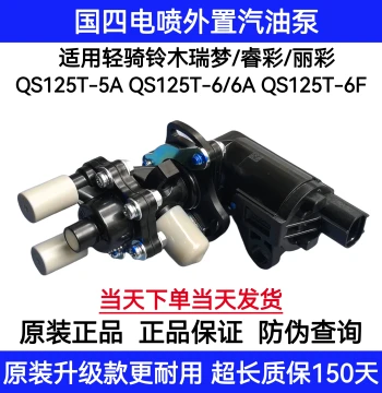 Compatible with Qingqi Suzuki National IV Ruimeng Licai QS125T-5A/6 Fuel Pump Gasoline Pump PDP Pump Assembly Electronic Injection