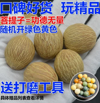 Raw Bodhi Seeds: White Jade Bodhi Root Beads for Bracelets and Rings, High-Density Loose Beads, 108-Bead Flexible Wrap Strand