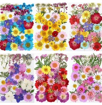 40-Piece Dried Flower Pack Pressed Flower Material Kit: Pressed Flower Rose Pack, Real Flowers and Leaves Specimens
