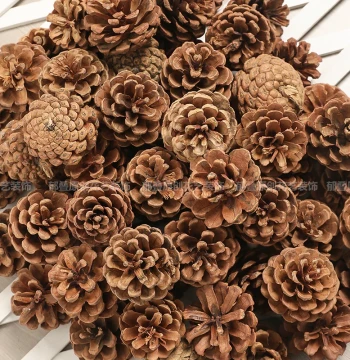 Pine Cone Decoration Pine Tower Pine Ball Dried Flower Handmade DIY Forest Kindergarten Environment Creation Dried Branches Wild Creative Ornaments