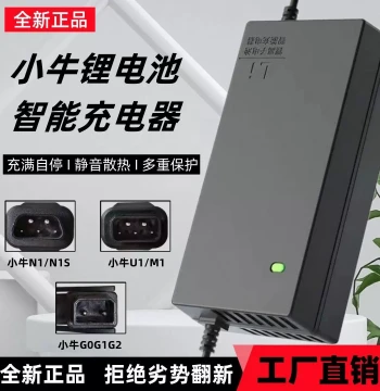 Lithium Battery Compatible with NIO U1/N1S/NGT/M/Qi/G0/G1/G2/F0 10A 48V