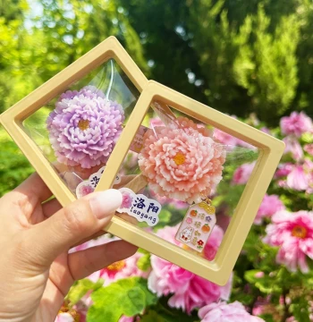Luoyang, Henan City Tourist Attraction: Peony Flower Refrigerator Magnet - Cultural Creative Souvenir and Local Gift