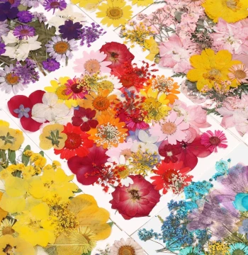 Pressed Flower Mixed Dried Flowers and Leaves Collage Kit, Real Flower Plant Specimens for Handmade Resin DIY Material Pack